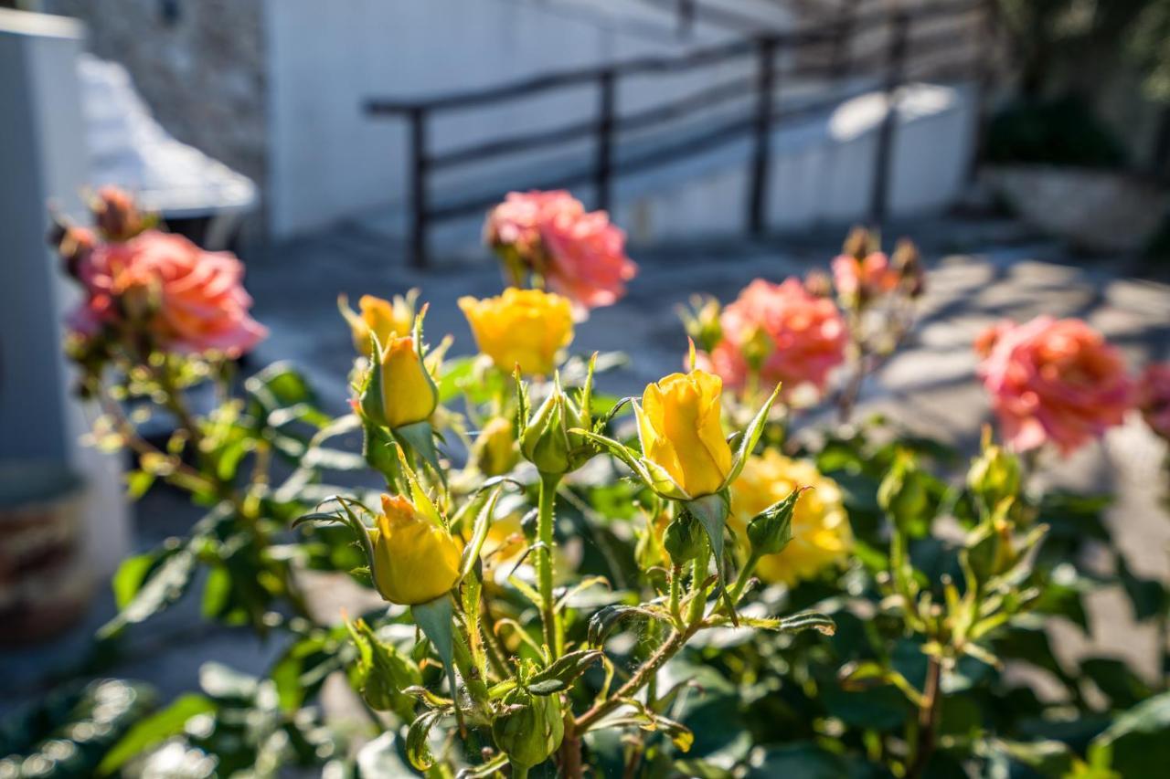 Borgo Canneto Rodi Garganico Bagian luar foto